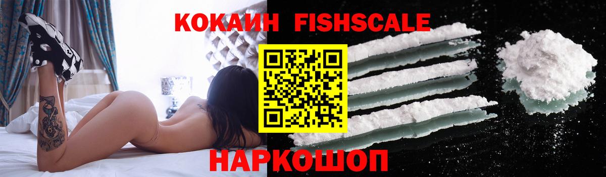 Cocaine FishScale Менделеевск