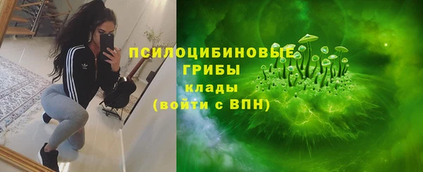 трава Аркадак