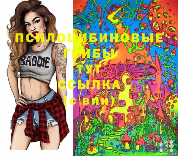 мдпв Армянск