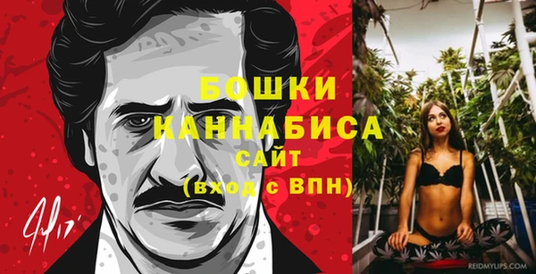 трава Аркадак