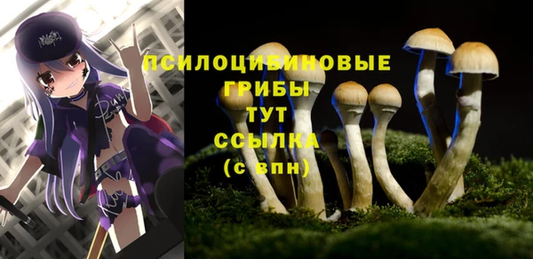 ALPHA-PVP Арсеньев