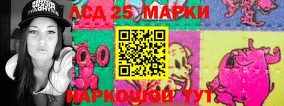 прущие грибы Кандалакша