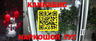 прущие грибы Кандалакша