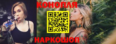 прущие грибы Кандалакша