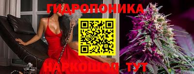 прущие грибы Кандалакша