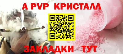 прущие грибы Кандалакша