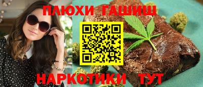 прущие грибы Кандалакша