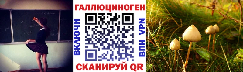 Галлюциногенные грибы мухоморы  Менделеевск 