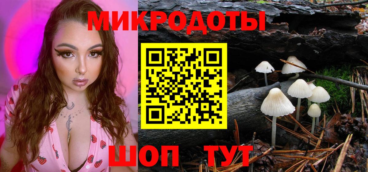 Галлюциногенные грибы Cubensis Менделеевск